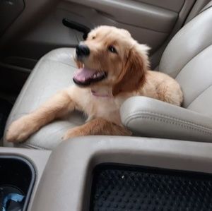 Meet your Posher, Todd